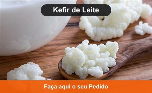 Kefir de Leite - Kefir em Rio Branco - AC