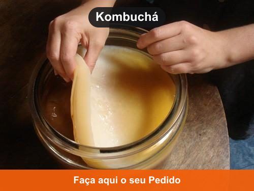 Kombuchá - Kefir em Rio Branco - AC